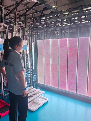 led-visual-inspection