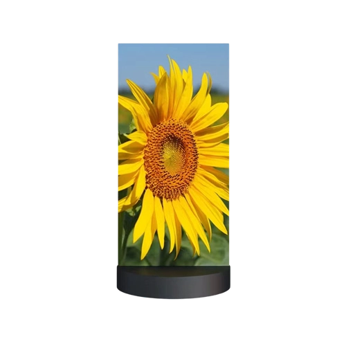 double-sided-led-display-front